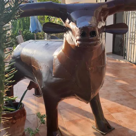 Laura Flores Lejlighed